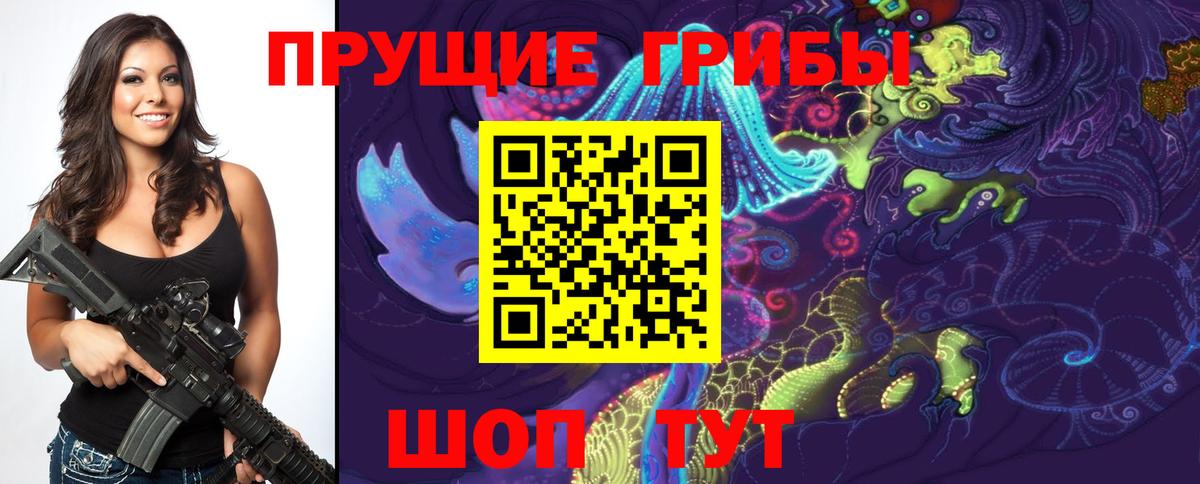 Псилоцибиновые грибы мицелий  продажа наркотиков  Вход с VPN  Горно-Алтайск  Галлюциногенные грибы Psilocybe 